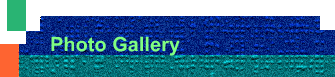 Photo Gallery